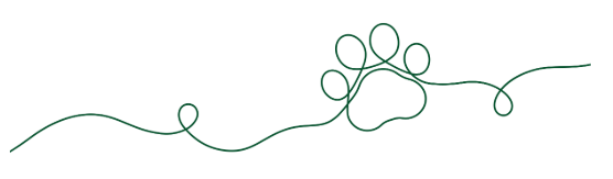 Screenshot 2025-09-14 at 5.09.18 PM